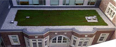 green_roof
